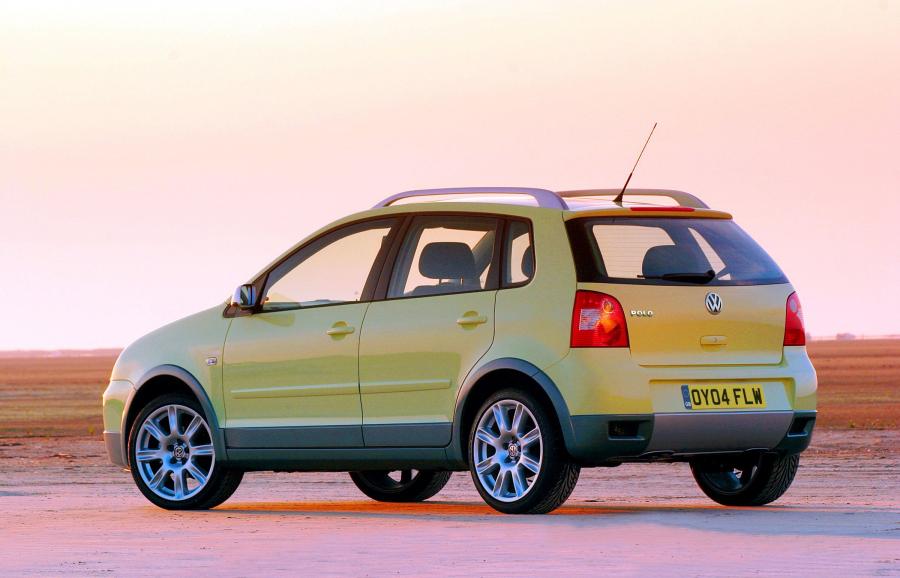  Volkswagen Polo Dune 2004 года  (фото 3 из 6)